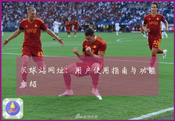 买球站网址：用户使用指南与功能介绍