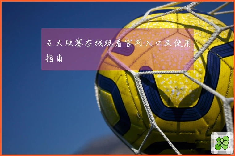 五大联赛在线观看官网入口及使用指南