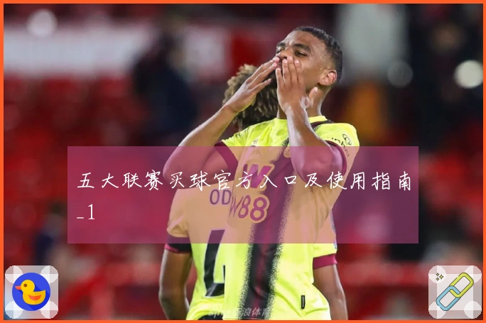 五大联赛买球官方入口及使用指南_1