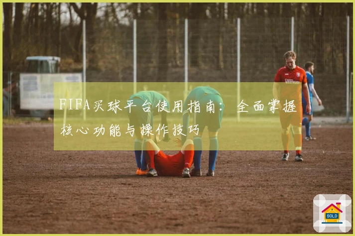 FIFA买球平台使用指南：全面掌握核心功能与操作技巧