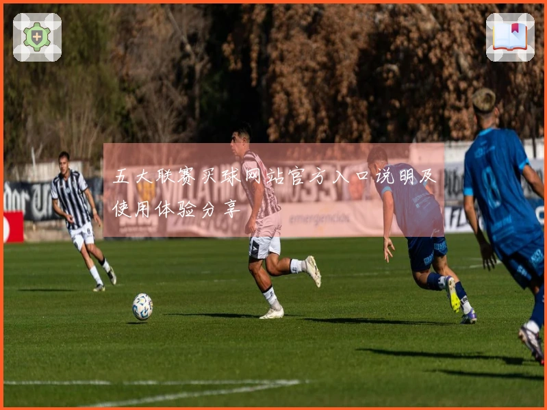 五大联赛买球网站官方入口说明及使用体验分享