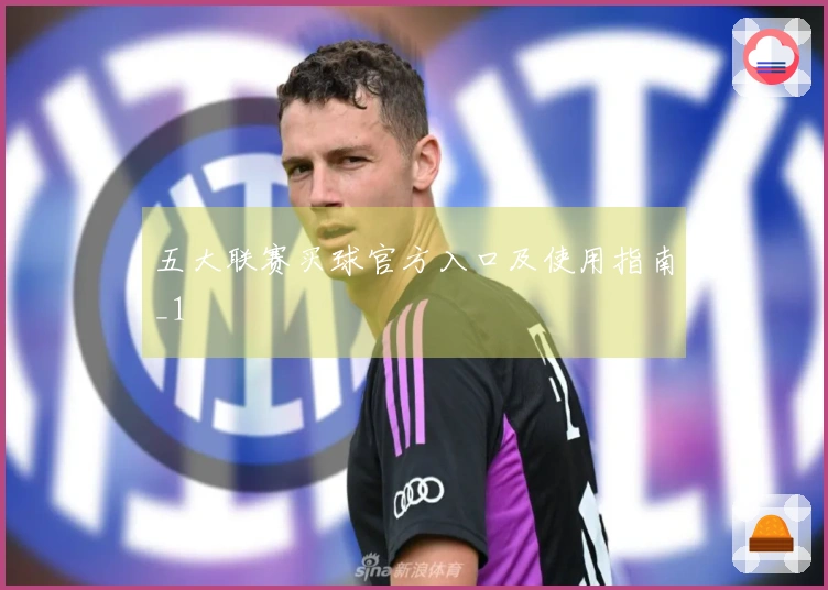 五大联赛买球官方入口及使用指南_1